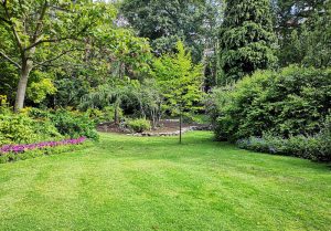 Optimiser l'expérience du jardin à Marbeville