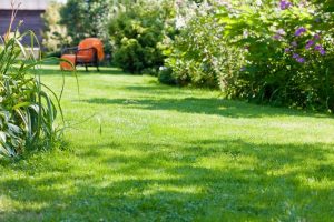 travaux jardin et paysage Marbeville